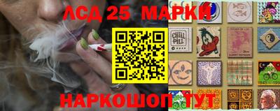 гидра Камышлов