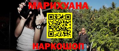гидра Камышлов