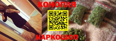 гидра Камышлов