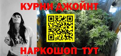 гидра Камышлов