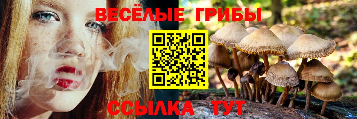 Галлюциногенные грибы MAGIC MUSHROOMS  Вход с VPN  Кудымкар 