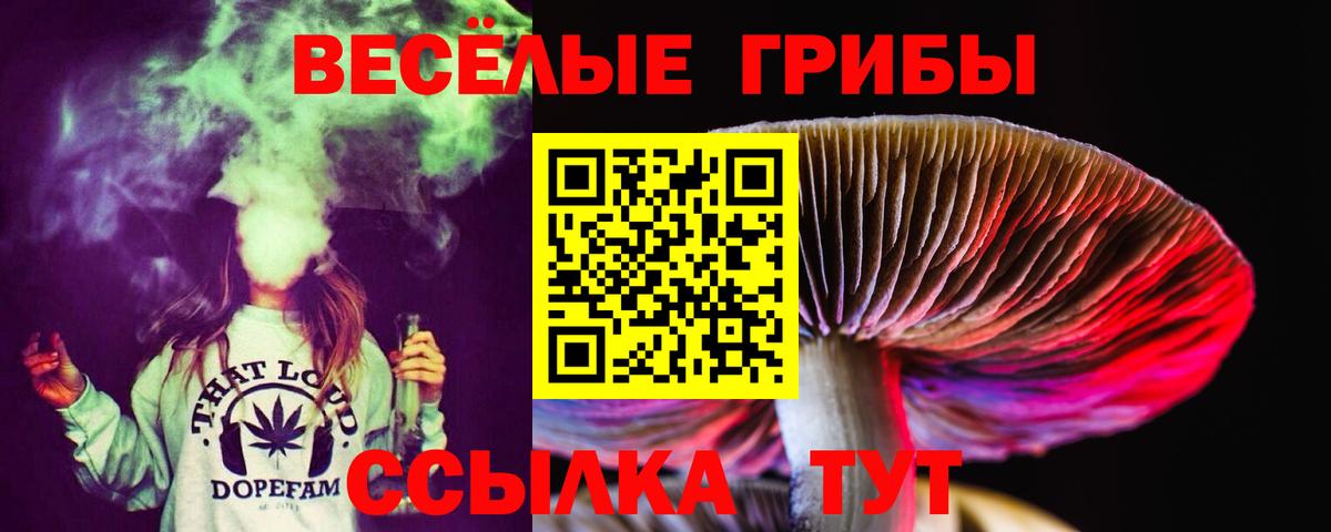 Псилоцибиновые грибы прущие грибы Кудымкар